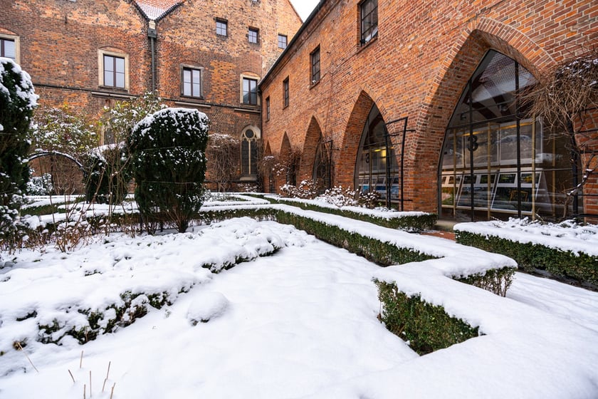 Wirydarz w Muzeum Architektury we Wrocławiu